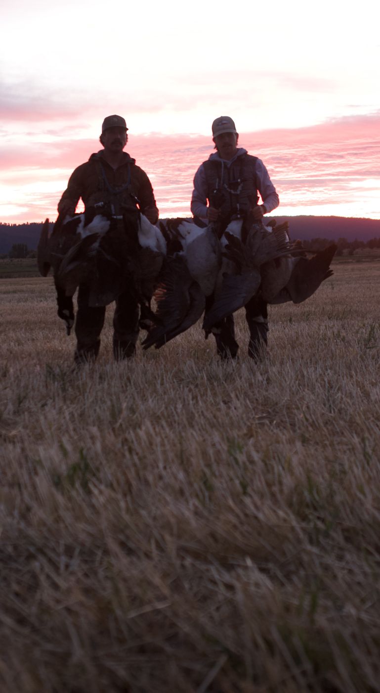 OrCal Outfitters Klamath Basin waterfowl hunt 1
